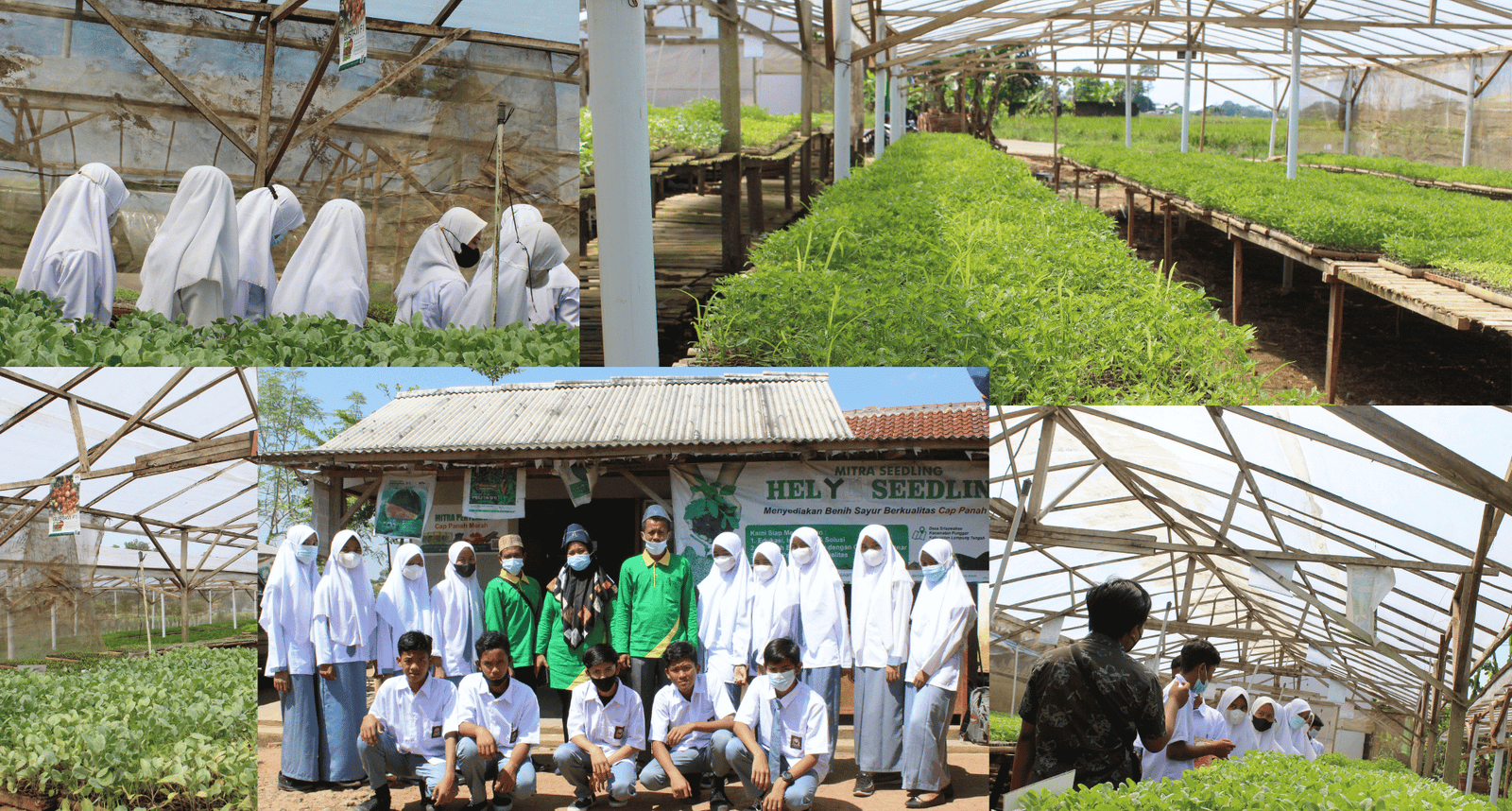 Pembelajaran Praktik Pembibitan Tanaman Siswa ATPH — foto 1